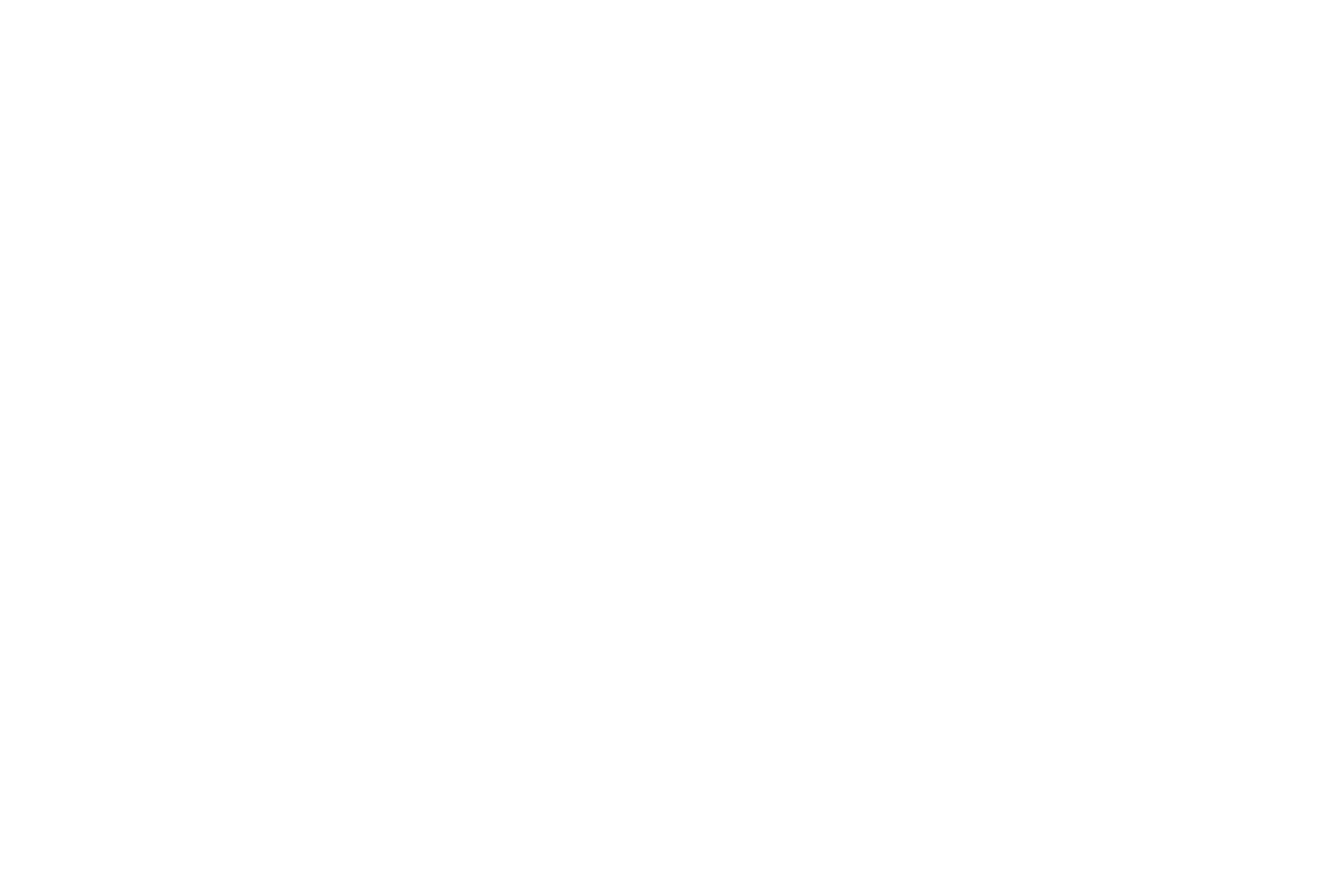 Product Renders